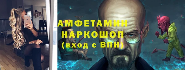 метадон Богданович