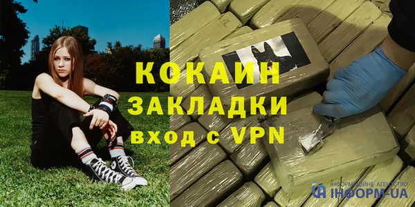 прущие грибы Бронницы