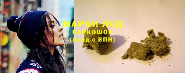 spice Бородино