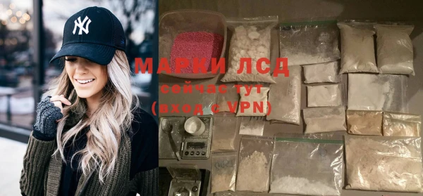 spice Бородино