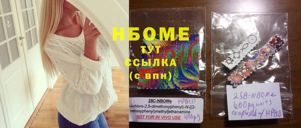 прущие грибы Бронницы
