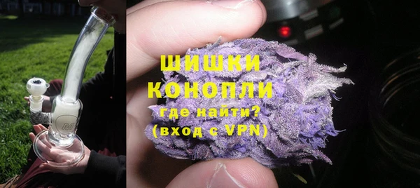 прущие грибы Бронницы