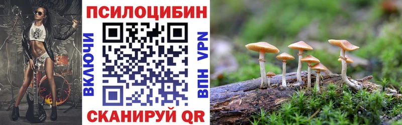 ссылка на мегу ссылки как найти наркотики Гай Псилоцибиновые грибы прущие грибы