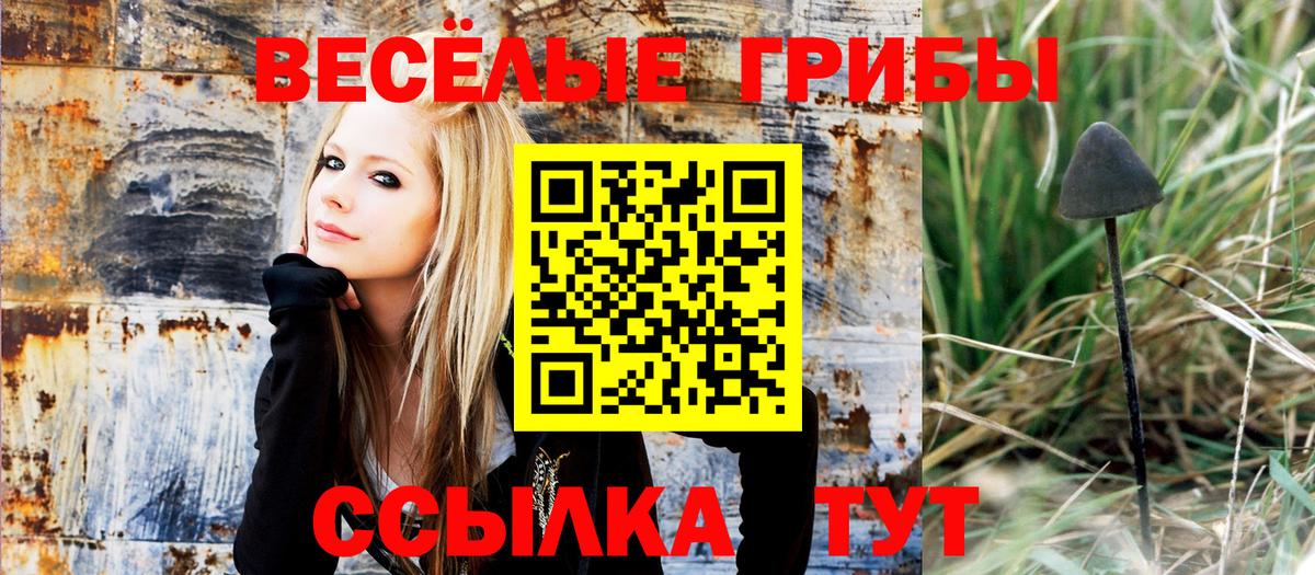 Гай  Галлюциногенные грибы Magic Shrooms  дарнет шоп  Вход с VPN 